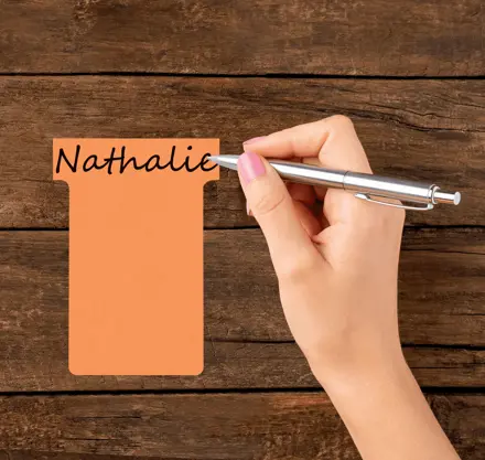 Fiches T pour planning Nobo - Taille 1,5